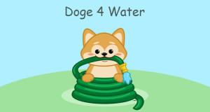 doge4water